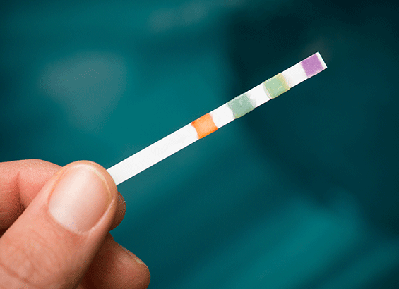 backyard in-ground swimming pool